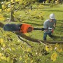 Купить Высоторез аккумуляторный BLACK+DECKER GPC1820L20